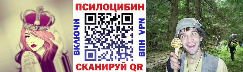 Купить где  Лосино-Петровский  Псилоцибиновые грибы прущие грибы 